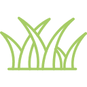 Spacious Lawns for Celebrations