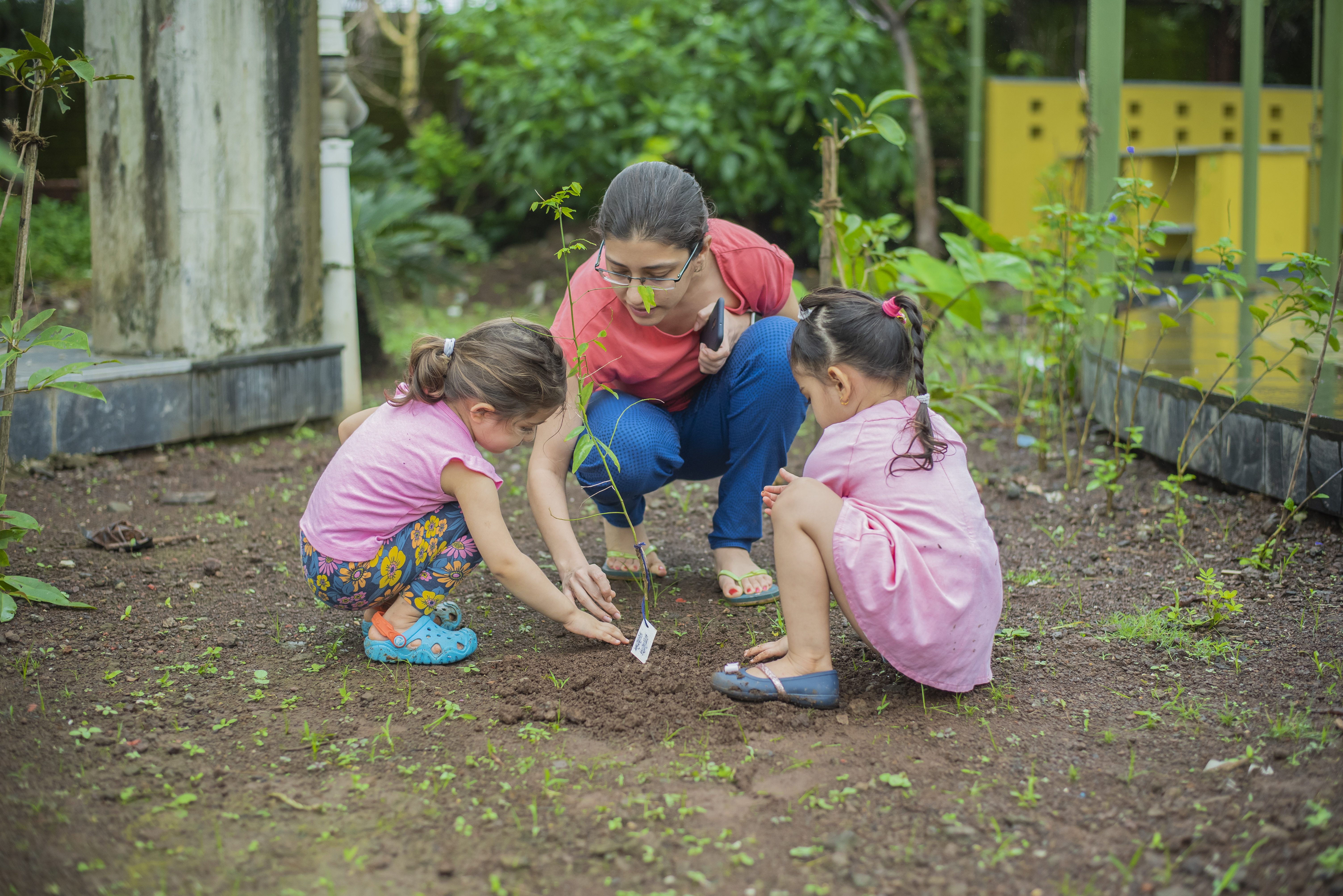 tree_planting_experience_in_igatpuri
